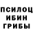 Галлюциногенные грибы Magic Shrooms ARS Lion