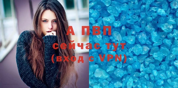 СК Горно-Алтайск
