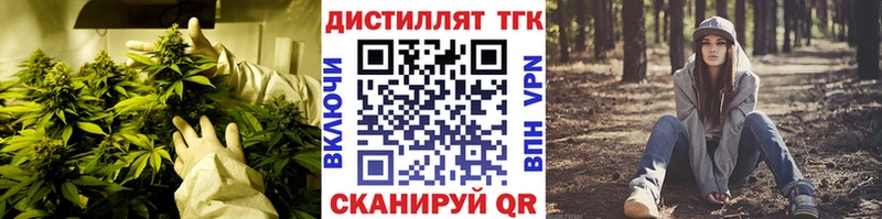 Купить закладки  Короча  ТГК THC oil 