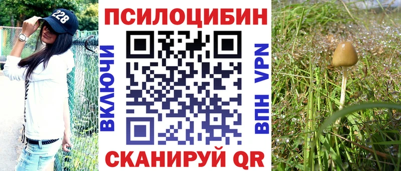 Купить закладки  Короча  Галлюциногенные грибы мицелий 